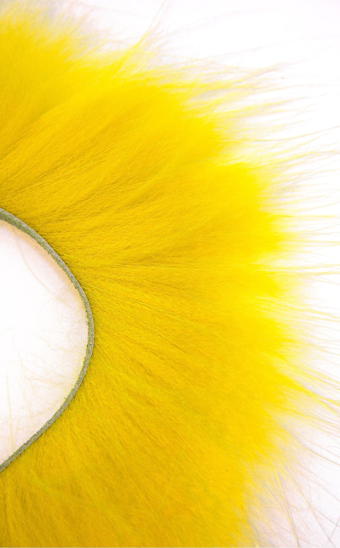 Supikoira Zonkeri Keltainen