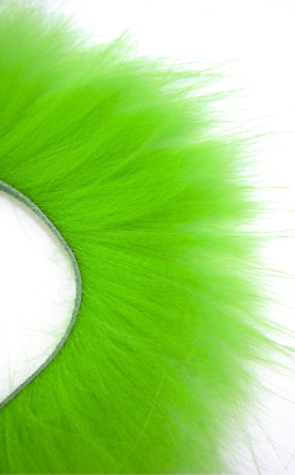 Supikoira Zonkeri Chartreuse