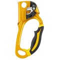 Petzl Ascension Work Right