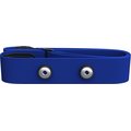 Polar Soft Strap ST -kiinnitysvyö Blue