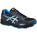 Asics Gel-Fujisetsu 2 G-TX Men Grey / Blue