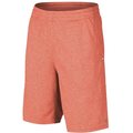 Oakley Lampin Shorts Grenadine Light Heather