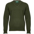 Alan Paine Long Sleeve V Neck Sweater Loden