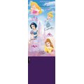 Buff Disney Junior polar Prinseses