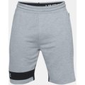 Under Armour Tech Terry Short Steel (035) / Academy