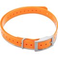 Garmin 3/4 inch Square Buckle Collar (esim. T5-mini) Oranssi