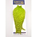 Whiting American Rooster Hackle Rooster Cape Grizzly Green Chartreuse