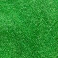 Wapsi Antron Dubbing Green