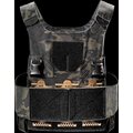 FROG.PRO Defender Low Visibility Plate Carrier Multicam Black