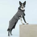 Paikka Visibility Raincoat for Dogs Dark