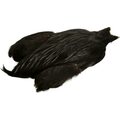 Whiting 4 B's Rooster Cape Black