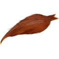 Whiting Dry Fly Hackle Cape Bronze Brown