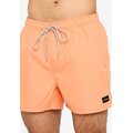 Rip Curl Offset 15'' Volley Washed Peach