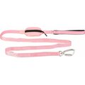 Paikka Visibility Leash for Dogs Pink