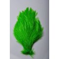 Wapsi Chinese Rooster Streamer Neck #1 High. Green