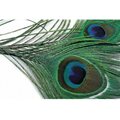 Veniard Peacock eye top Natural
