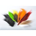 Wapsi Bucktail Assort. Six mixed colours Basic Colours