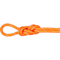 Mammut 9.5 Alpine Dry Rope Safety Orange-Zen (Dry Standard)
