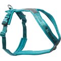 Non-stop Dogwear Line Harness 5.0 Teal