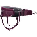Non-stop Dogwear Trekking Belt 2.0 Purple
