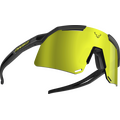 Dynafit Ultra Evo Sunglasses Black / Gold