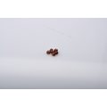 FTS Tungsten Lucent Beads 20pcs Coffee