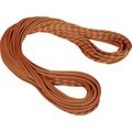 Mammut 9.5 Crag Dry Rope Boa-Vibrant Orange (Dry Duodess)