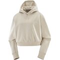 Salomon Logo Short Hoodie Womens Rainy Day