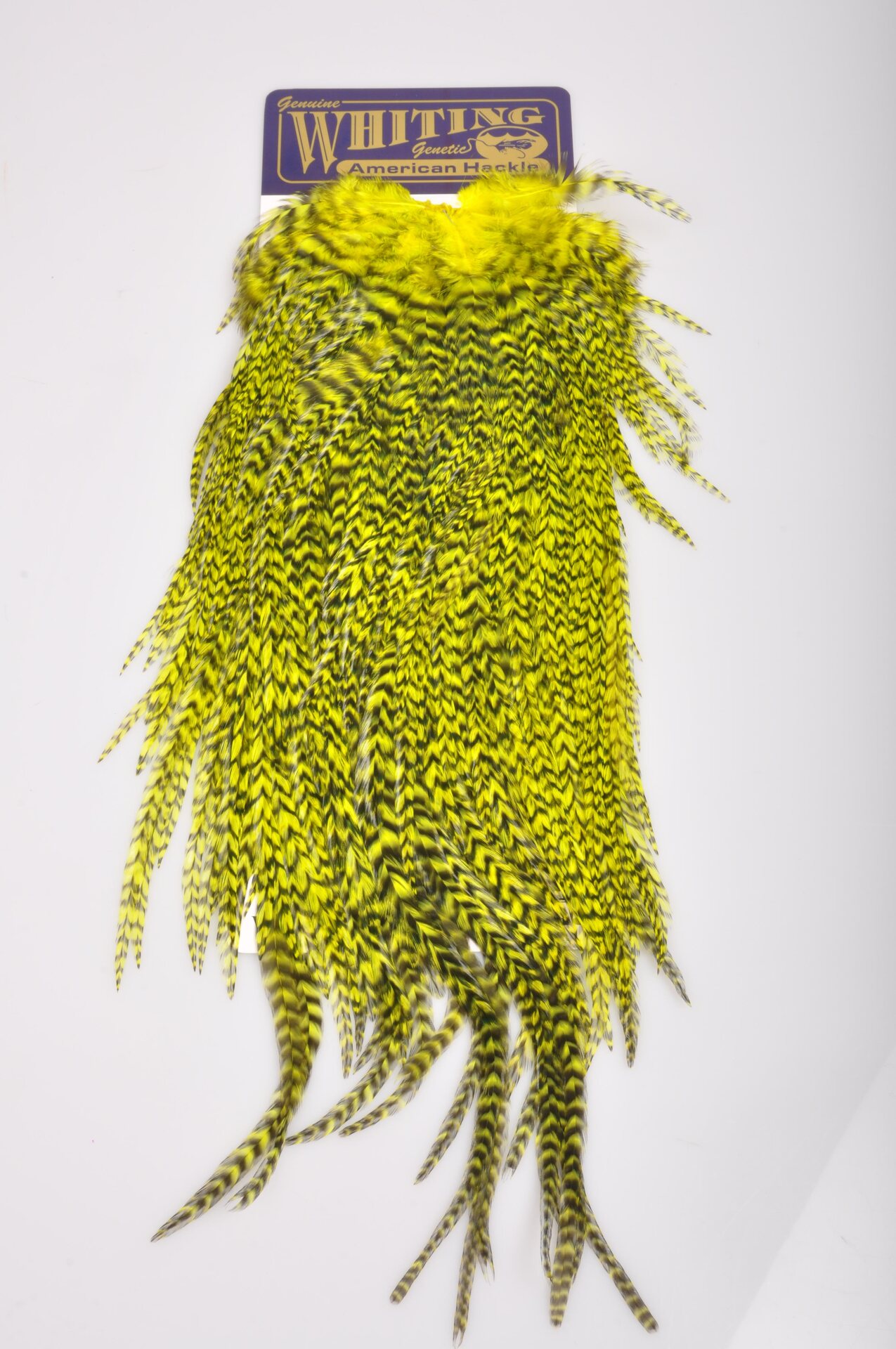 Whiting American Rooster Hackle Rooster Saddle Grizzly / Fl. Yellow Chart.