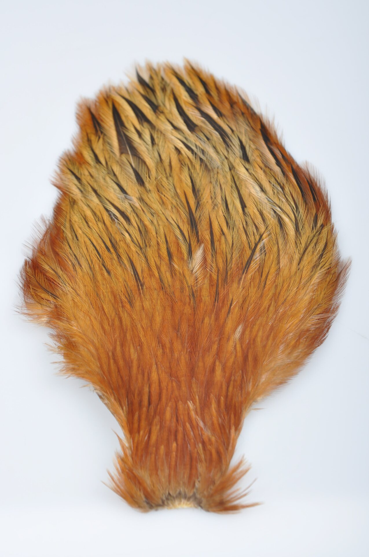 Wapsi Chinese Rooster Streamer Neck #2 Furnace / Natural