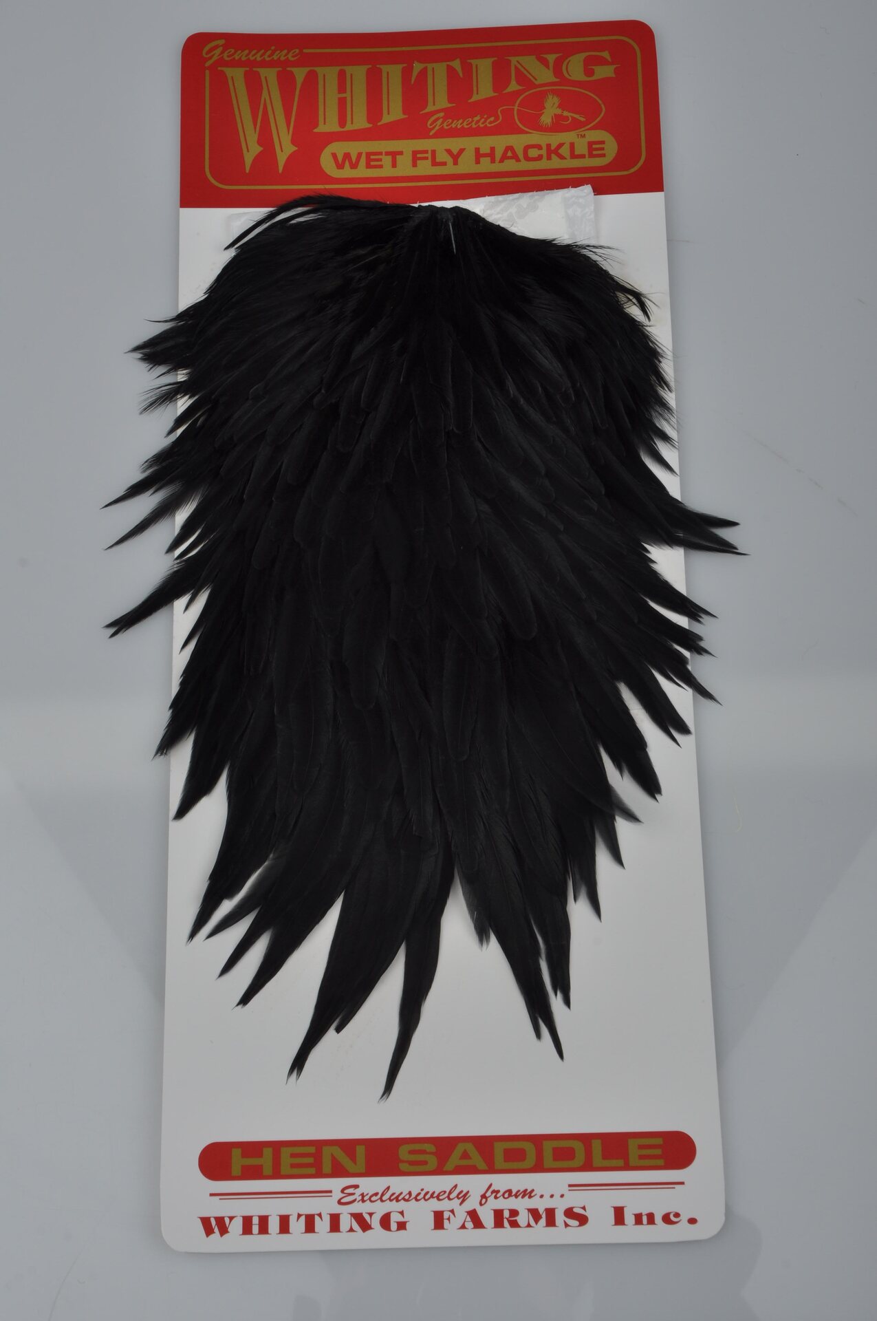 Whiting Hen Saddle Musta