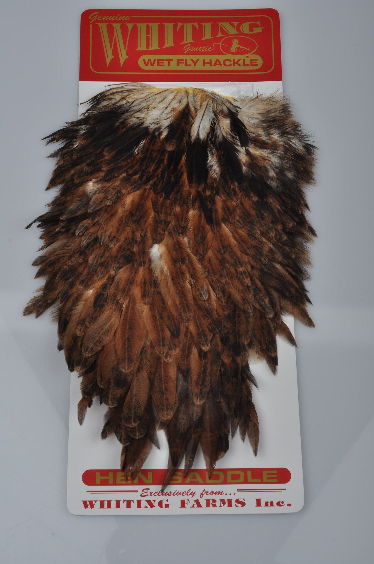 Whiting Hen Saddle Brown