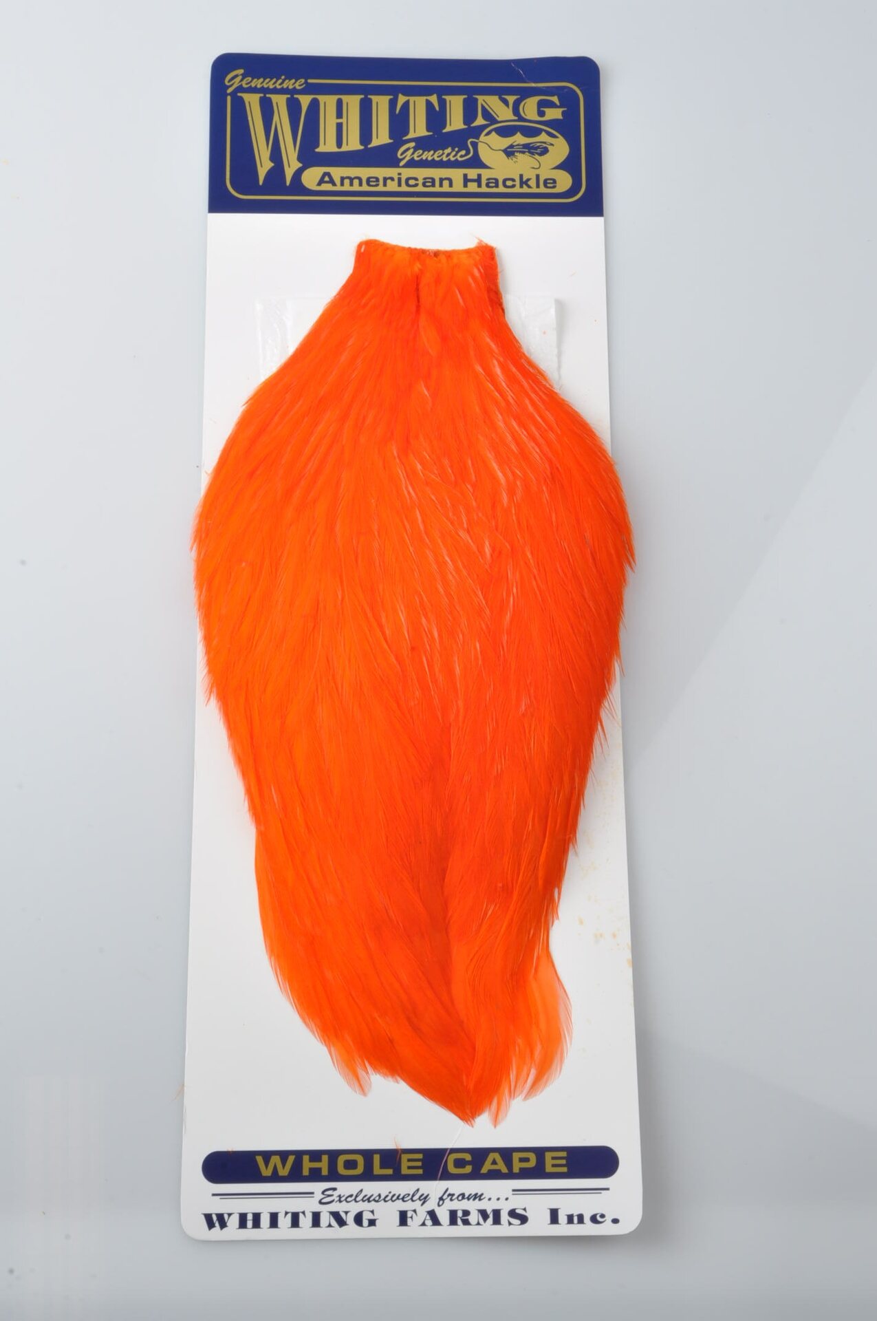 Whiting American Rooster Hackle Rooster Cape Orange