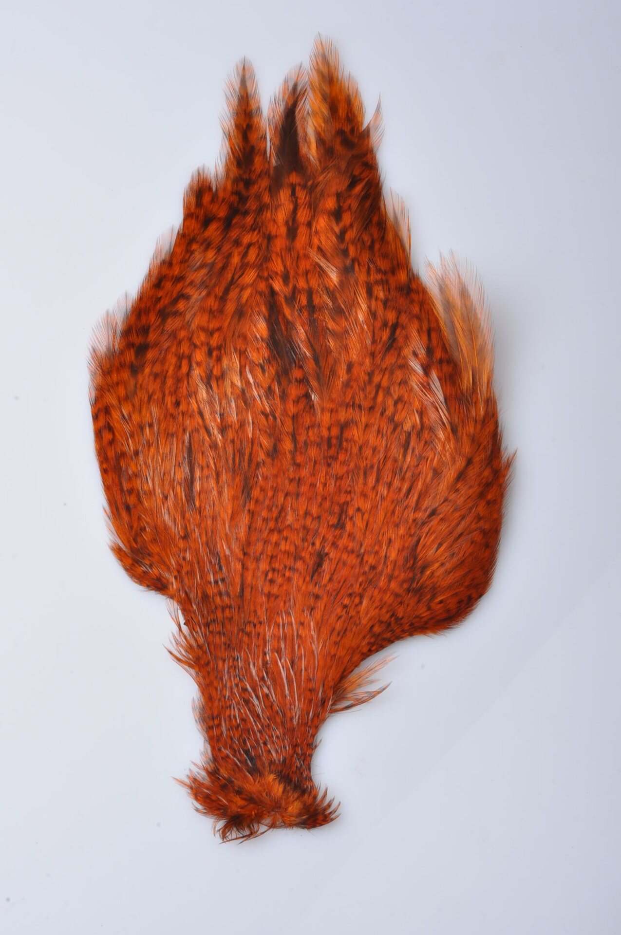 Wapsi Chinese Rooster Streamer Neck #2 Crawdad Orange Barred