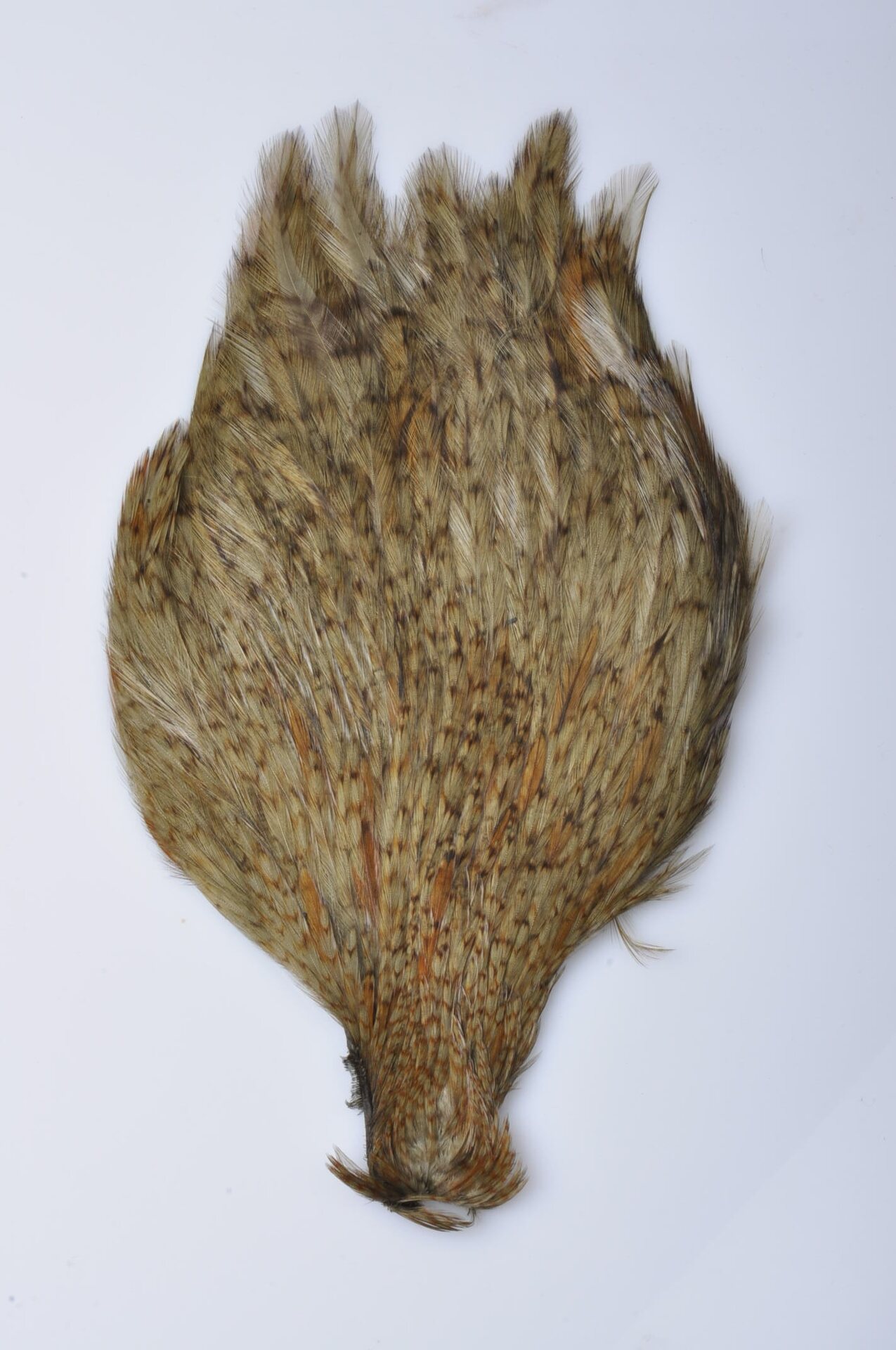 Wapsi Chinese Rooster Streamer Neck #2 Sculpin Olive Barred