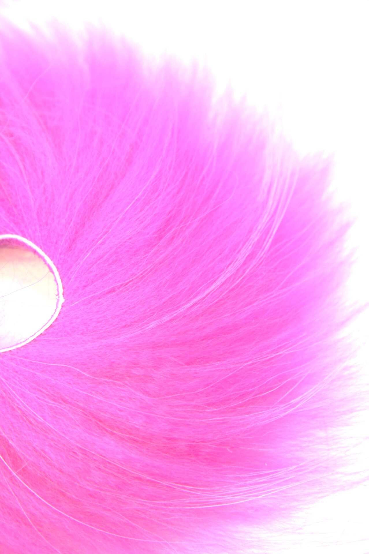 Supikoira Zonkeri Pinkki