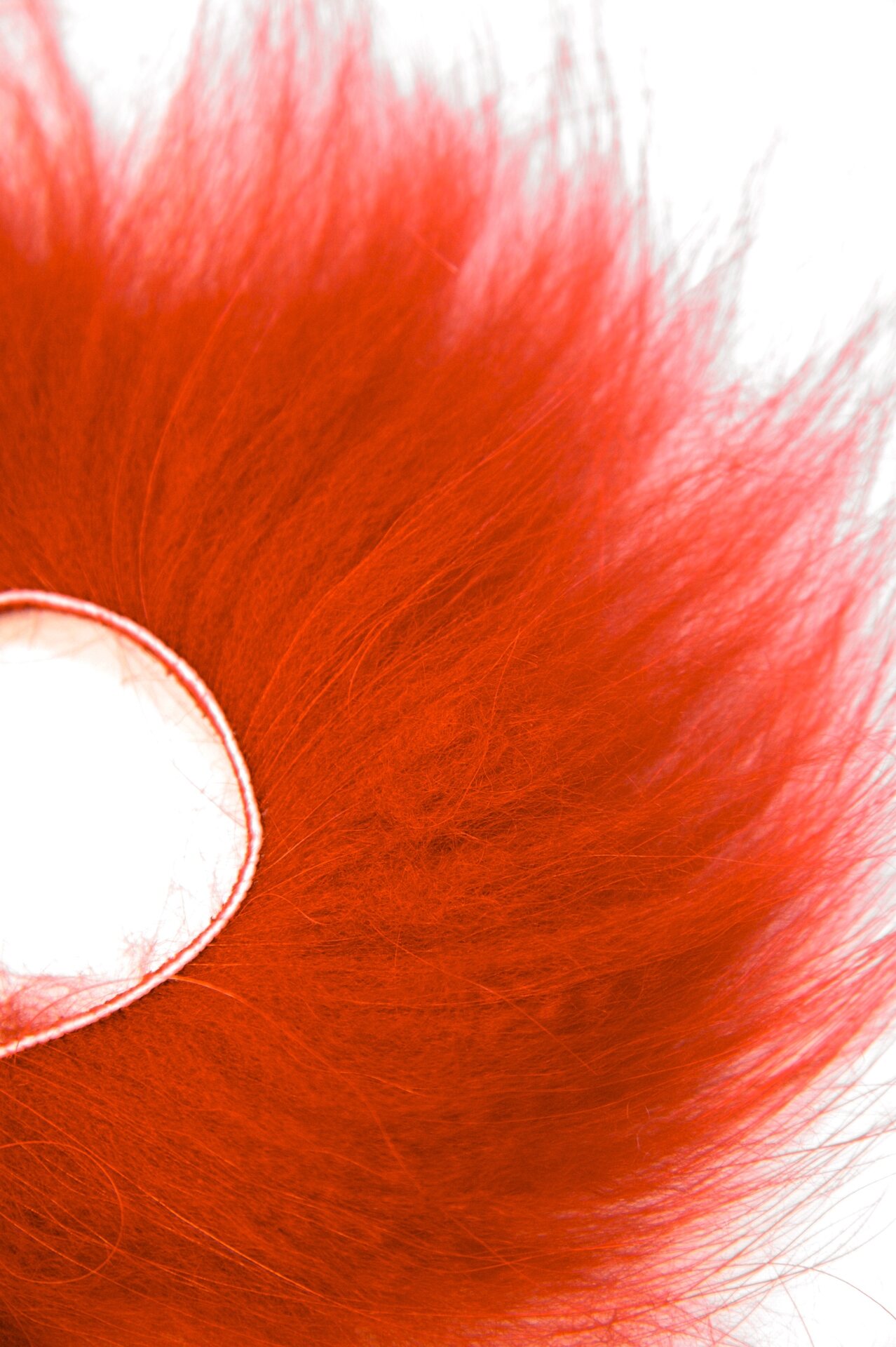 Supikoira Zonkeri Punainen