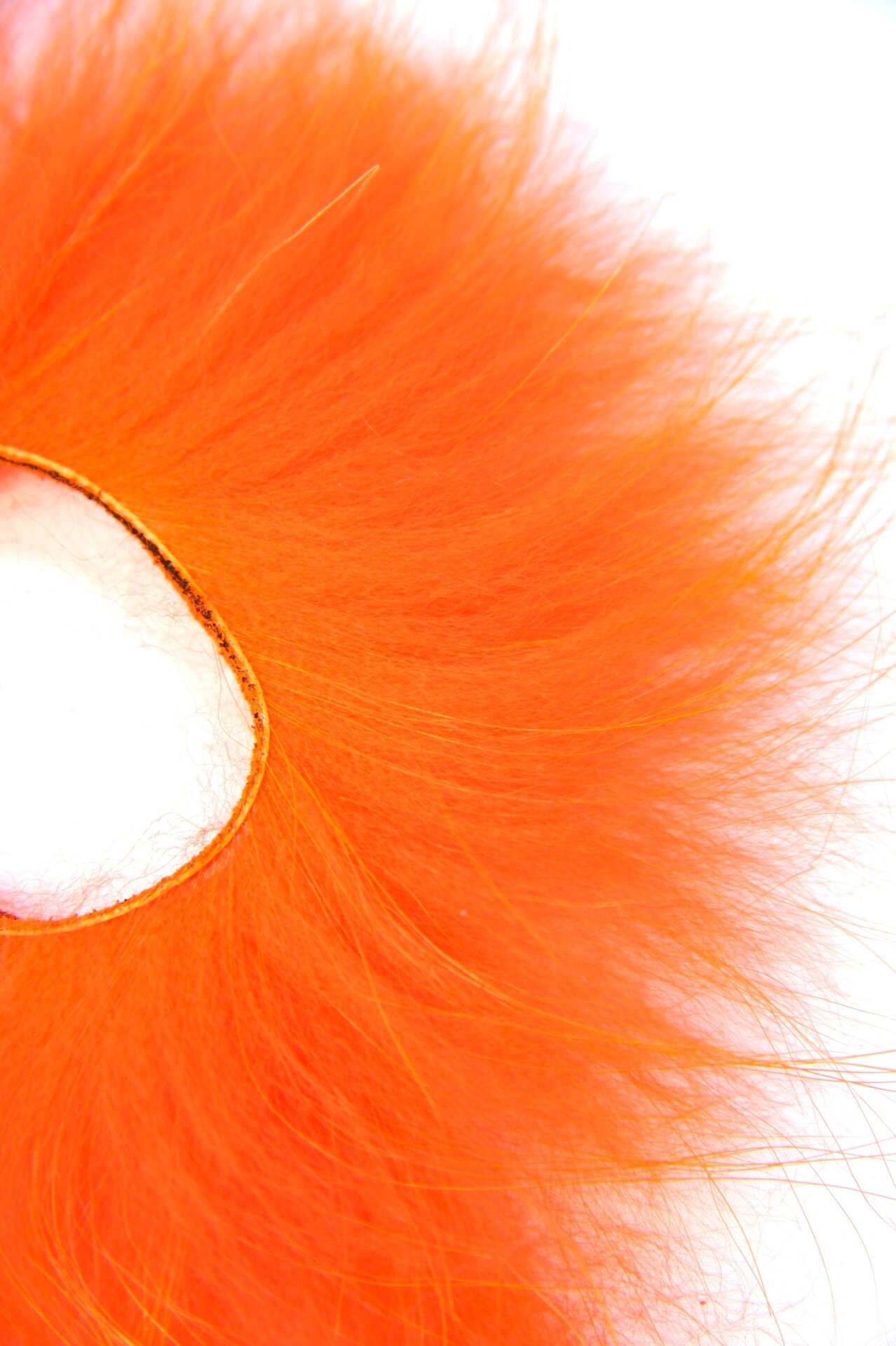 Supikoira Zonkeri Oranssi