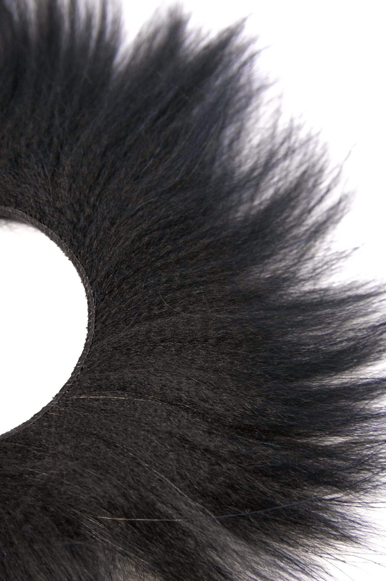 Supikoira Zonkeri Musta