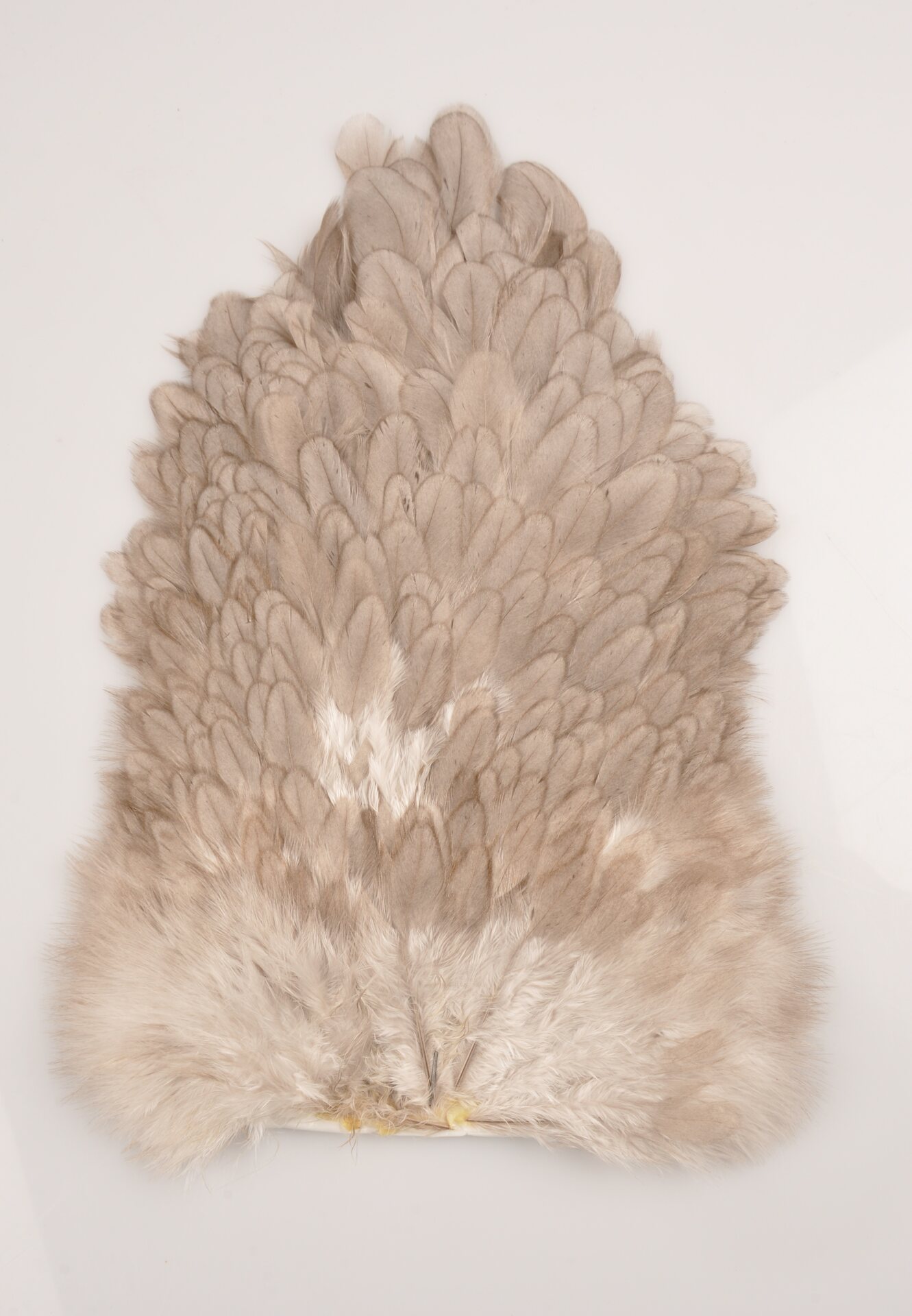 Whiting 4 B's Hen Sadle kanan satula Natural Medium Dun