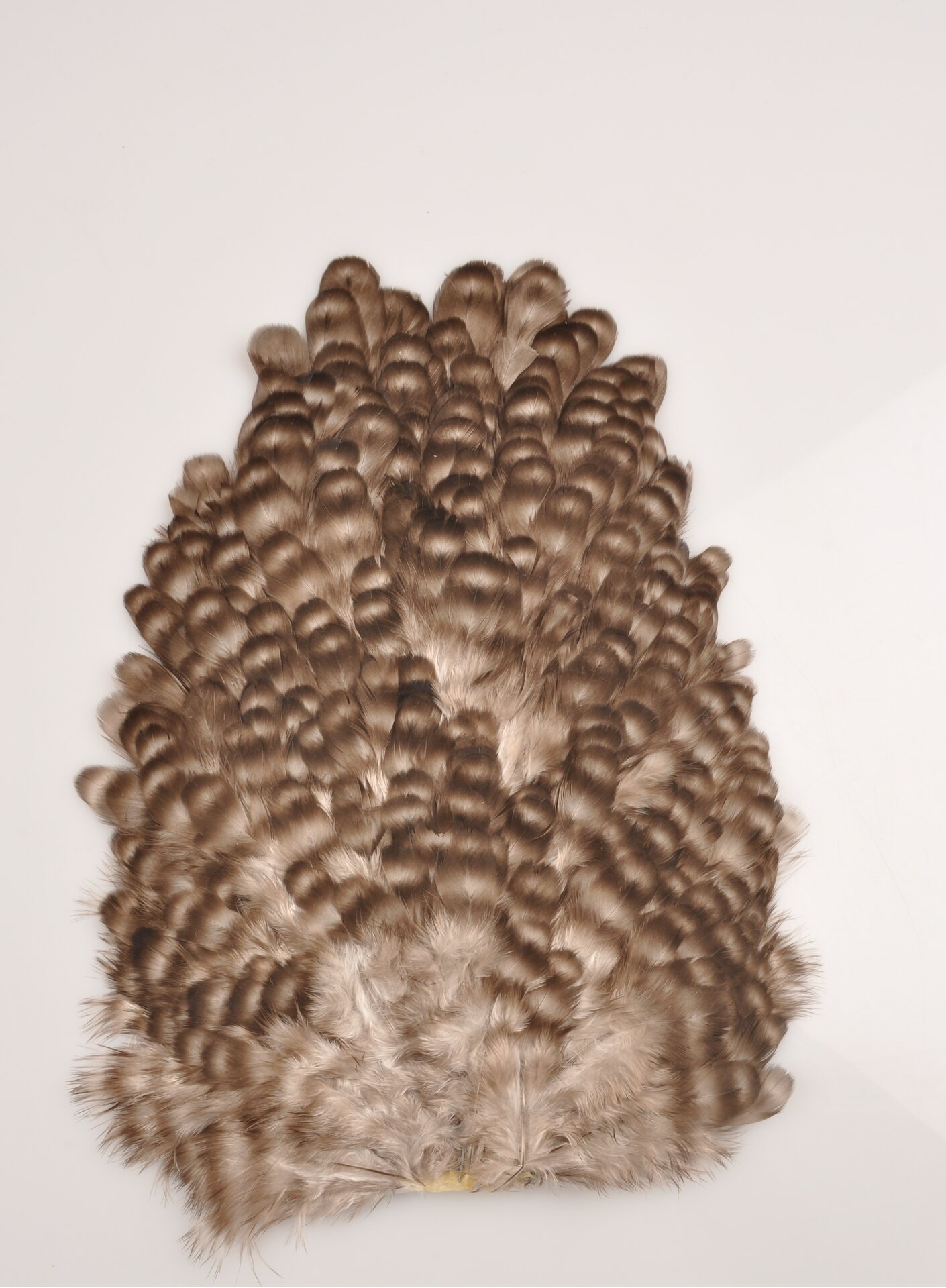 Whiting 4 B's Hen Sadle kanan satula Grizzly