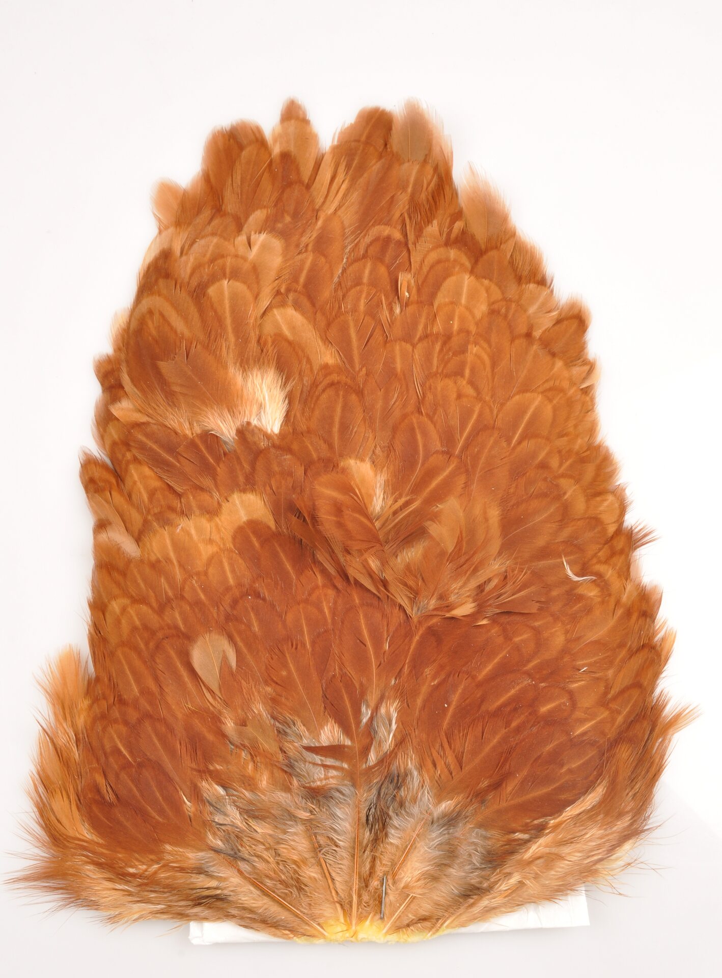 Whiting 4 B's Hen Sadle kanan satula Brown