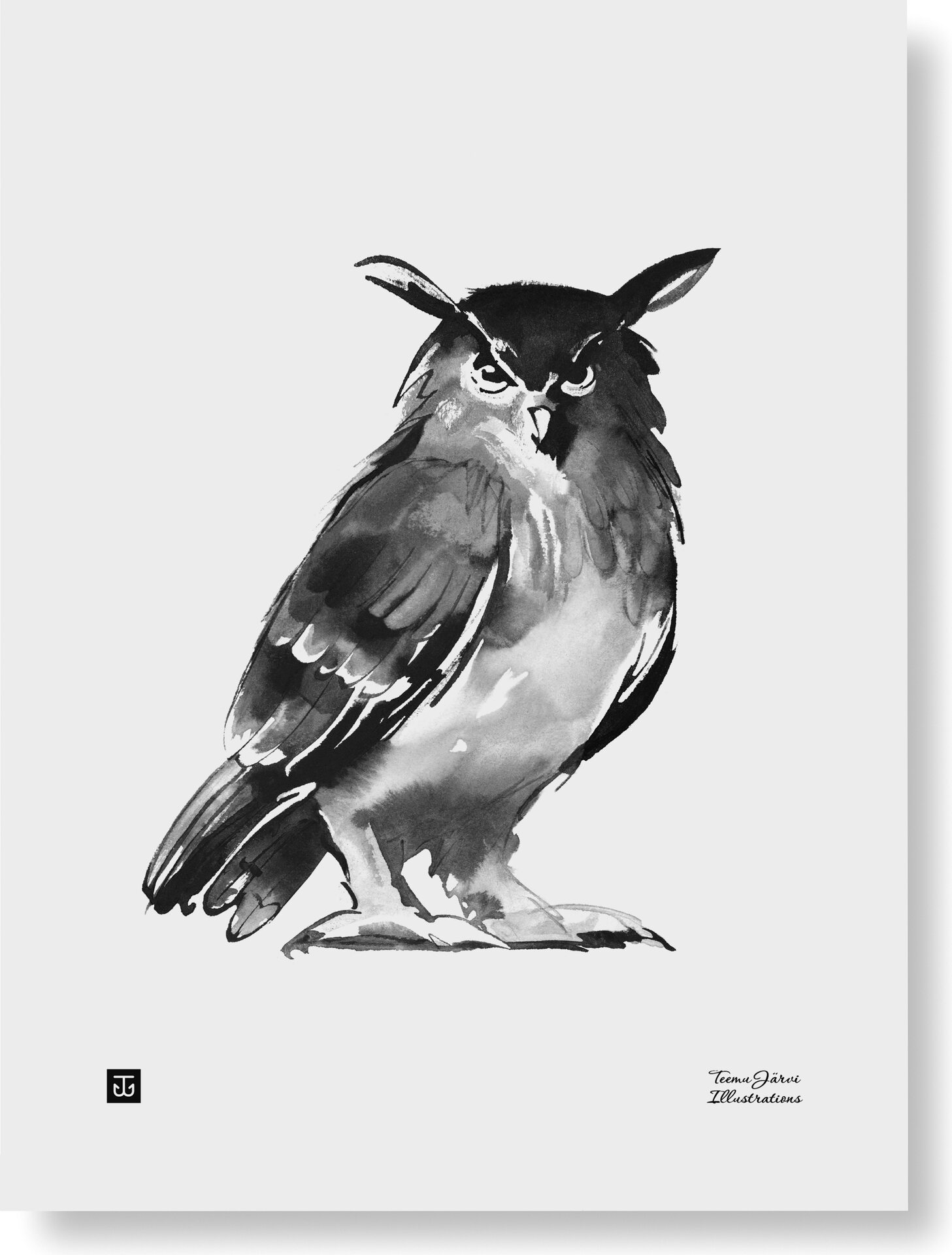Teemu Järvi Paper Poster Small, 30 x 40 cm Owl