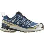 Salomon XA PRO 3D V9 GTX Mens Dark Blue / Icicle / Aloe