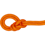 Mammut 9.8 Crag Dry Rope Vibrant Orange-Boa