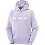 Salomon Big Logo Hoodie Mens Cosmic Sky