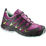 Salomon XA Pro 3D GTX Women (UNMATCHED) Mystic Purple / Black / Igloo Blue