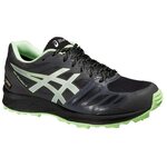 Asics Gel-FujiSetsu 2 G-TX Women Dark Grey / Silver / Pistachio