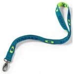 Oakley Standard Lanyard Aurora Blue
