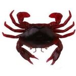 Savage Gear Manic crab jig 5pcs Red & Balck